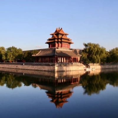طاہر جاوید avatar
