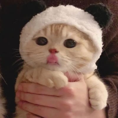 صائمہ رشید avatar